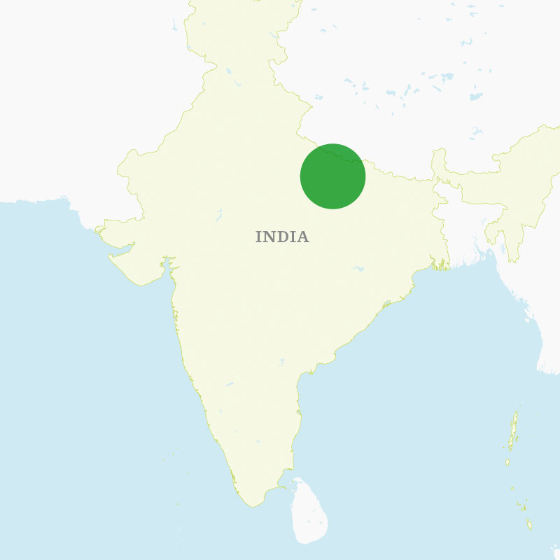 Map of Callison's India growing region