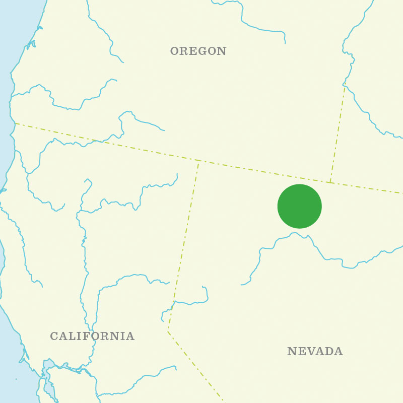 Map of Callison's Nevada growing region.