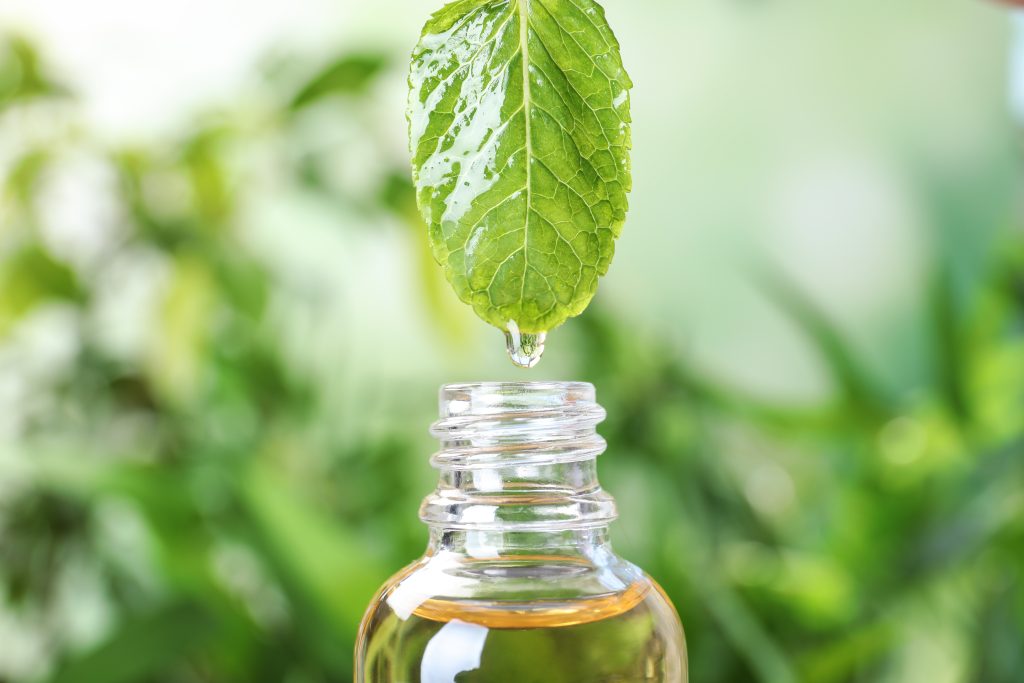 mint oil on leaf dripping into vial