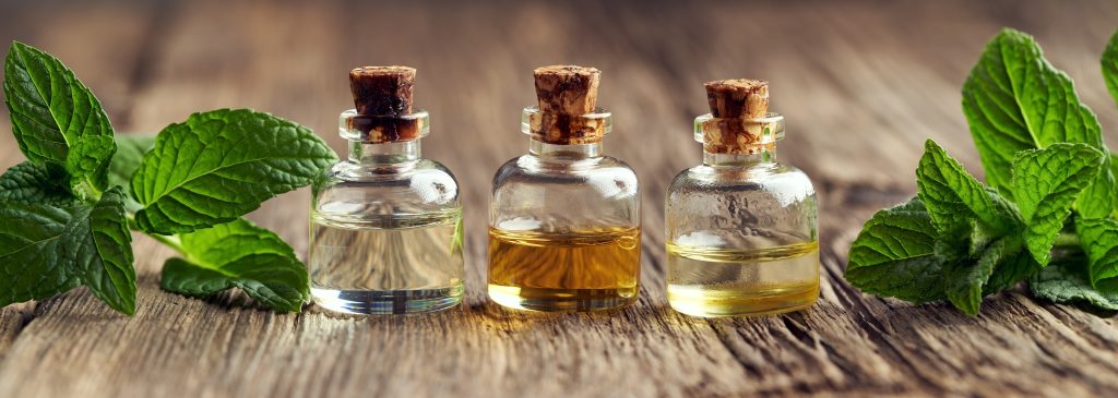 Panoramic header with three bottles of essential oil and fresh peppermint leaves